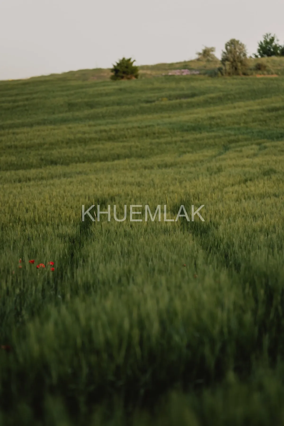 Yatırımlık Arsa