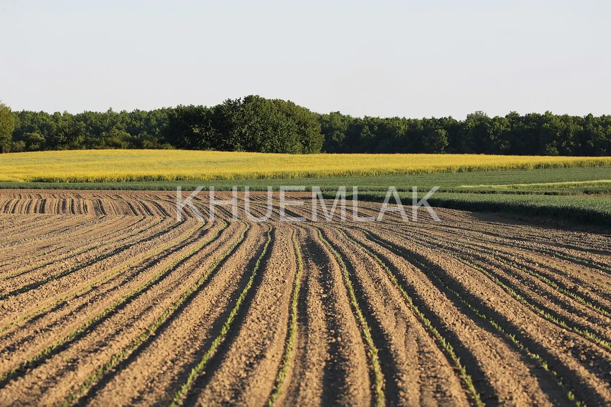 Yatırımlık Arsa